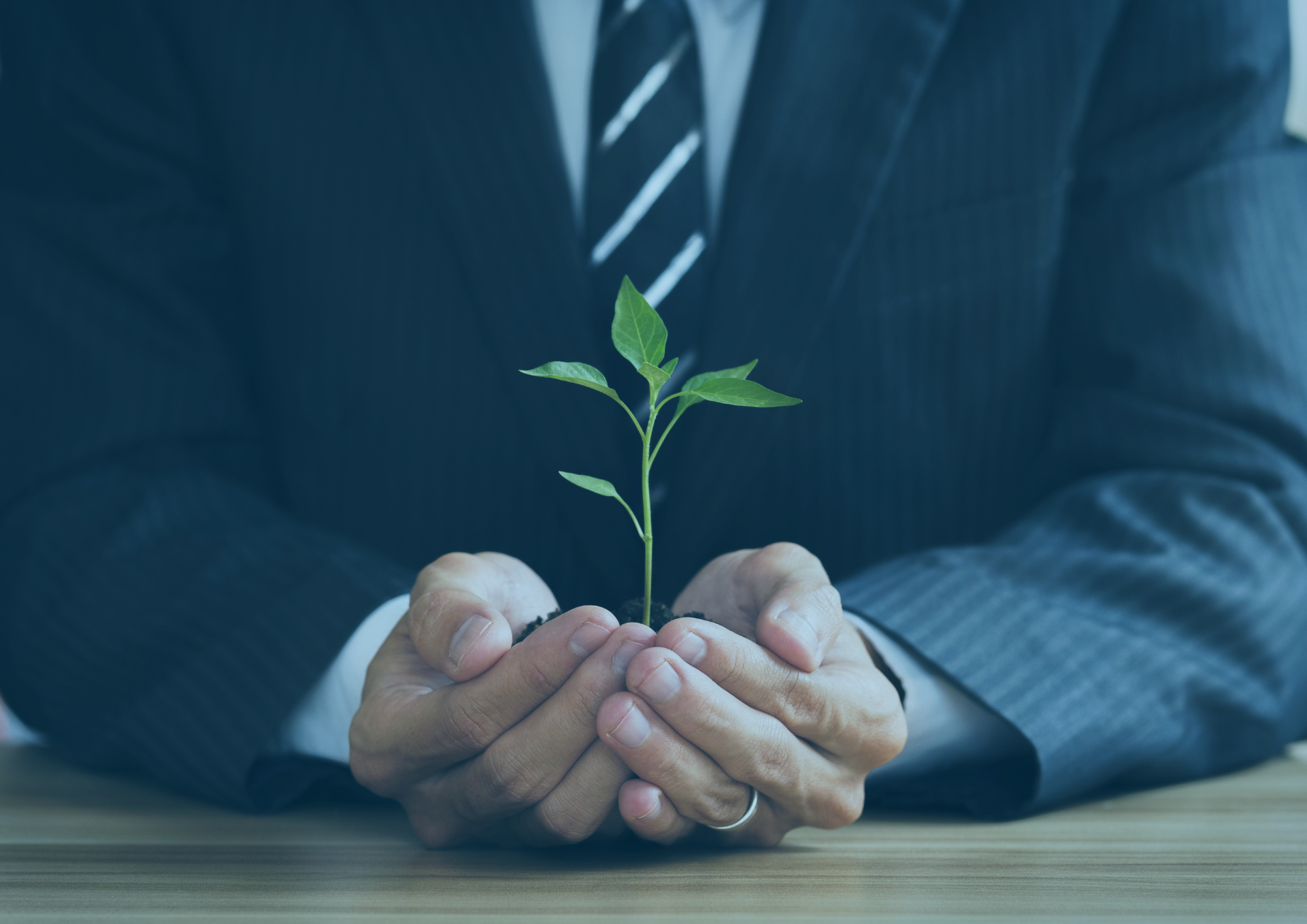 7 Beneficios de Ser Una Empresa Socialmente Responsable (RSE)